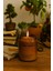 : Palo Santo : Amber Cam Kavanozda : Kokulu Soya Mum (Santo Ağacı, Sandal, Sedir, Bergamot, Citrus) 1