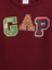 Erkek Çocuk Kırmızı Gap Logo Sweatshirt 2