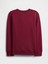 Erkek Çocuk Kırmızı Gap Logo Sweatshirt 3