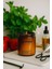 : Aventus : Amber Cam Kavanozda : Kokulu Soya Mum (Bergamot, Pempe Biber, Elma, Paçuli, Yasemin, Musk) 1