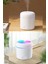 300 ml Ultrasonik Hava Nemlendirici Buhar Makinesi USB Li Işıklı 2 Çubuklu Aroma Difüzörü 3