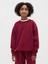 Erkek Çocuk Kırmızı Vintagesoft Relaxed Bisiklet Yaka Sweatshirt 6