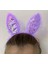 Kenarları Dantelli Mor Pullu Payetli LED Işıklı Tavşan Kulak Taç 23X19 cm - Lisinya 1
