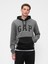 Erkek Gri Relaxed Gap Logo Colorblock Sweatshirt 1