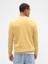 Erkek Sarı Bisiklet Yaka Kazak 5