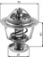 TH24782G1 Termostat 1767077E10 1767077E11 3599763 1