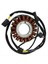 31120-007G00-0000, P007G0031120000 Stator Magneto Hisun Motors VFFORGE550 HS550 HS750 Için Ateşleme Bobini (Yurt Dışından) 3