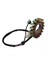 Stator Magneto Yamaha Savaşçısı Için Ateşleme Bobini 350 YFM350 1996-2001 Jeneratör 3HN-85510-10-00 (Yurt Dışından) 4