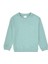 Erkek Çocuk Mint Sweatshirt 50313829-VR090 1