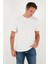 Yazı Detaylı Pamuklu Regular Fit Bisiklet Yaka T Shirt Erkek T Shirt 59020203 3