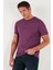 Yazı Detaylı Pamuklu Regular Fit Bisiklet Yaka T Shirt Erkek T Shirt 59020203 5