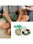 Sandviç Tepsisi ve Meyve Dahil 6 Bölme ile Atıştırmalık Spinner Bölünmüş Öğle Yemeği Kablolu Bento Tarzı Öğle Yemeği Kutusu (Yurt Dışından) 2
