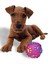 Küçük Köpekler İçin Sesli Oyuncak – 6 cm (Pembe) 3