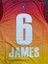 James 6 All Star Basketbol Forması Sarı-Kırmızı Micro Kumaş 3