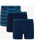 Erkek Çizgili Organik 3'lü Boxer 11