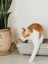 Kedi Kum Temizleme Küreği Delikli Kum Küreği Kedi Tuvalet Küreği 5