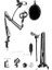 Home Paket BM800 Mikrofon + Set-01 Stand + Phantom Power 3