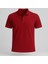 Erkek %100 Pamuklu Lakost Kumaş Regular Fit Polo Yaka T-Shirt 1