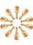 QuirkyQuar Kısa Sap 10 Paket Küçük Ahşap Kaşık, Küçük Reçel Kavanozları, Baharatlar, Çeşniler, Baharatlar, Şeker, Bal, Kahve, Çay, Hardal, Dondurma, Süt Tozu Için (Yurt Dışından) 2