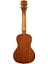 Elvis Rockabilly Concert Ukulele Eğitim Seti Maun Gövde ile 23 inç Boyutunda 4