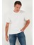 Yazı Detaylı Pamuklu Regular Fit Bisiklet Yaka T Shirt Erkek T Shirt 59020203 5
