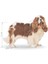 Cavalier King Charles Kuru Köpek Maması 3kg 15