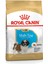 Shih Tzu Yavru Köpek Maması 1.5kg 12