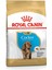 Cocker Yavru Köpek Maması 3kg 11