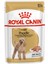Poodle Yaş Köpek Maması 12 x 85g 7