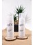 Hairloss Repair Foam 150 ml 2