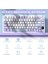 AK820PRO 75% Tkl Mekanik Oyun Klavyesi,2.4g Kablosuz/bt5.1/usb-C Kablolu,tft Renkli Ekran ve Cnc Düğmeli 81 Tuş,rgb Aydınlatma-Mor Beyaz 2