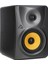 B1030A 2 Yollu 50 Watt Aktif Referans Monitör 1