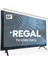 Regal 50" inç 126 cm Tv Ekran Koruyucu 2