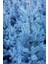 Look Mavi Ladin Ağacı Tohumu / 5 Adet Tohum TH-2022DSHNGLKTHM230 3