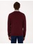 Erkek Koyu Bordo Slim Fit V Yaka Basic Triko Kazak 50314190-VR175 5