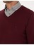 Erkek Koyu Bordo Slim Fit V Yaka Basic Triko Kazak 50314190-VR175 7