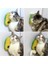 Silikon Kaşıyıcılı Kedi Otu 4