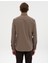 Erkek Vizon Regular Fit Uzun Kollu Gömlek 50311380-VR052 5
