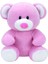 Ty Princess Pink Bear Reg Peluş 15 cm 1