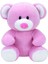 Ty Princess Pink Bear Reg Peluş 15 cm 2