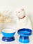 Seramik Kedi ve Köpek Mama Su Kabı Luna- Ayaklı Model 2'li(Mavi- Lacivert) 2