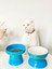 Seramik Kedi ve Köpek Mama Su Kabı Luna- Ayaklı Model 2'li(Turkuaz) 4