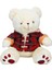 Bfs 1510 Ekose Elbiseli Peluş Ayı 45 cm -Sunman 2