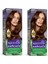 Naturals Saç Boyası Altın Kestane 5/73 2x Paket 1