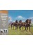 776 1/32 Ölçek, Confed 4 Horses & Harness 1