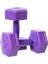3 kg Plastik Dambıl Set, 2 Adet, Toplam 6 Kg, Mor 1