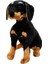 Bfs Oturan Rottweiler Peluş 68 cm 1