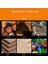 Counterbore Matkap Konik Matkap Seti Ağaç Işleme Açıcı Seti Altıgen Vida Donanım Araçları Karşıbasa Matkap 7 Adet (Yurt Dışından) 4