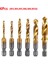 6pcs M3 M 4 M5 M6 M8 M10 Hex Shank Tıtanıum Kaplama Hss Vıda Ile Metrik Tap Matkak Biçler Vida Makine Taşına (Yurt Dışından) 5