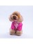 Florence Daisy Pembe Papatya Desenli Daisy Köpek Mont Köpek Yağmurluk Köpek Kıyafeti Köpek Elbisesi 3